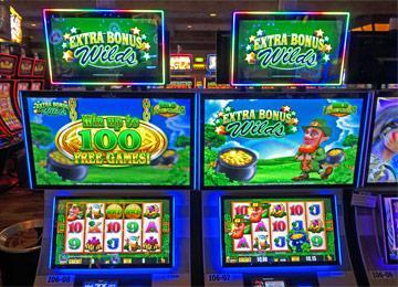 free wild lepre coins slot machine